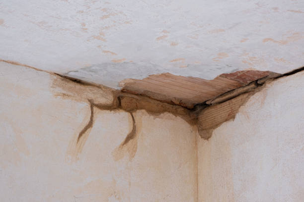 Best Water damage mitigation services  in Hidden Valley, IN