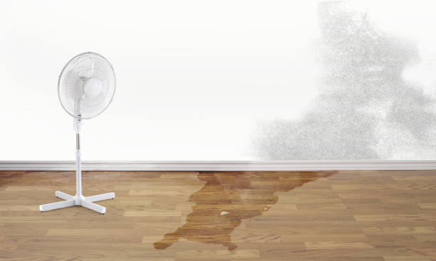 Best 24-hour water damage restoration  in Hidden Valley, IN