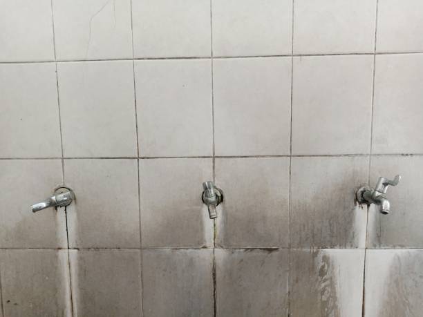 Best Flood damage cleanup  in Hidden Valley, IN